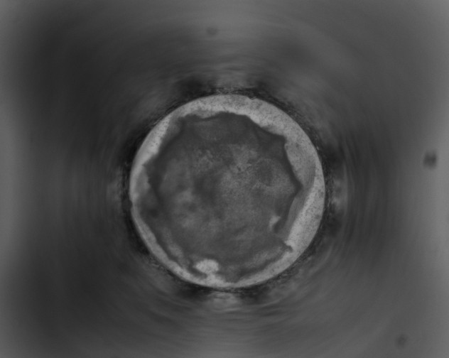 X0000102860519200809081309