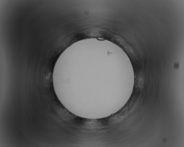 X0000102860521200809081309