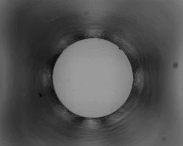 X0000102860522200809081309