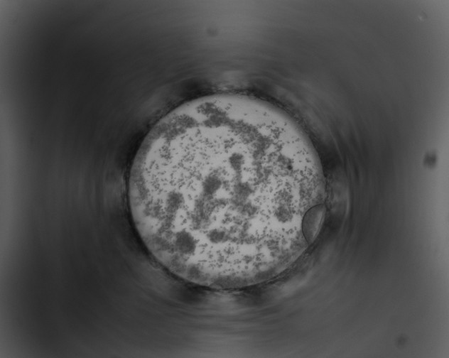 X0000102860523200809081309