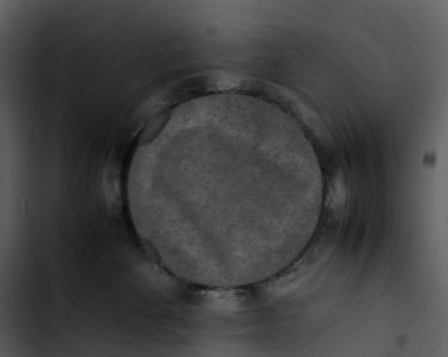 X0000102860524200809081309