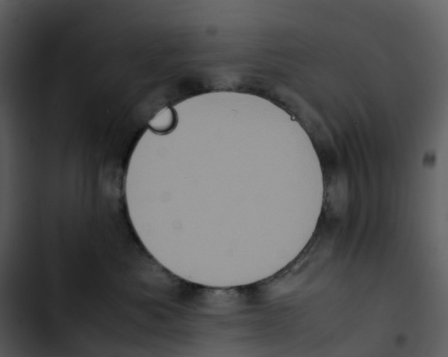 X0000102860525200809081309