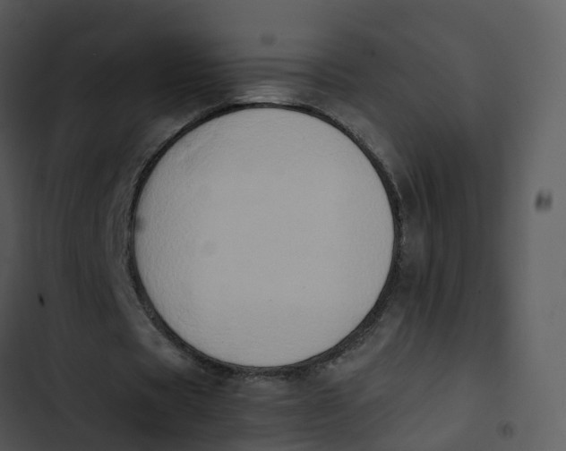 X0000102860529200809081308