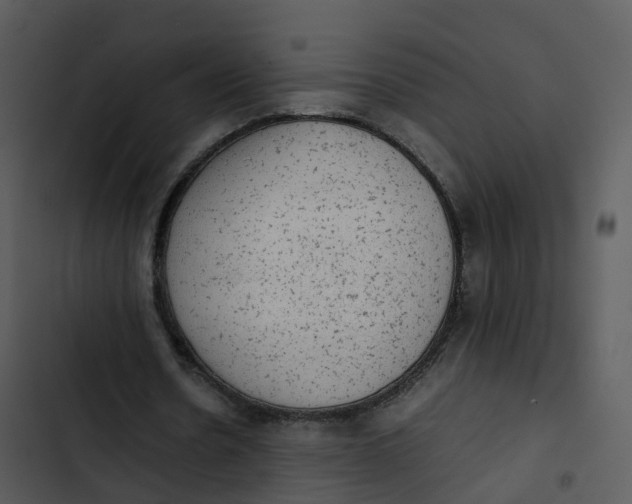 X0000102860530200809081308