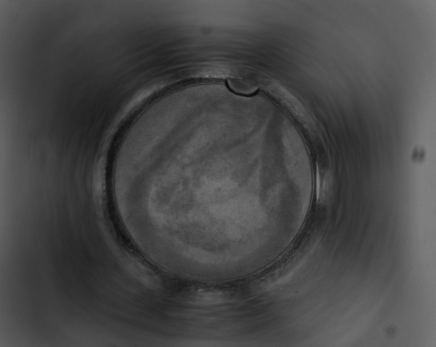 X0000102860531200809081308