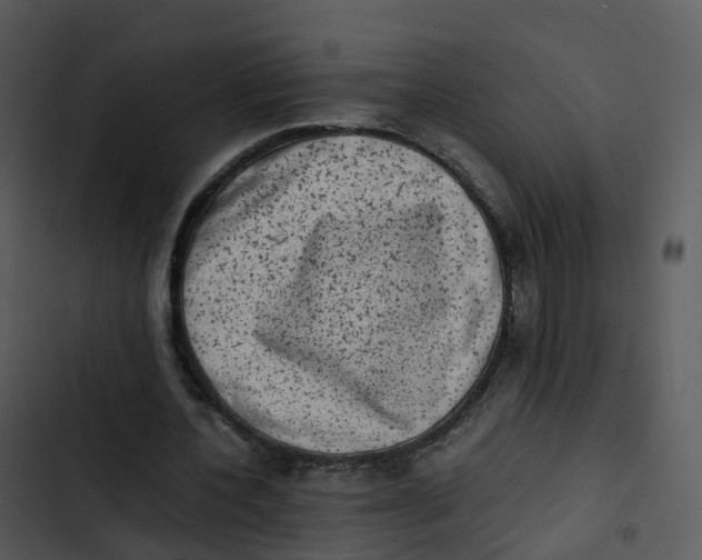 X0000102860532200809081308