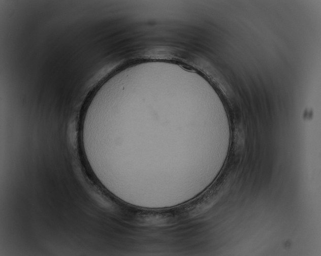 X0000102860533200809081308