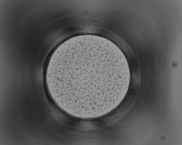 X0000102860534200809081308