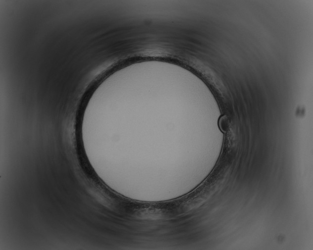 X0000102860535200809081308