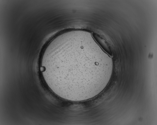 X0000102860536200809081308