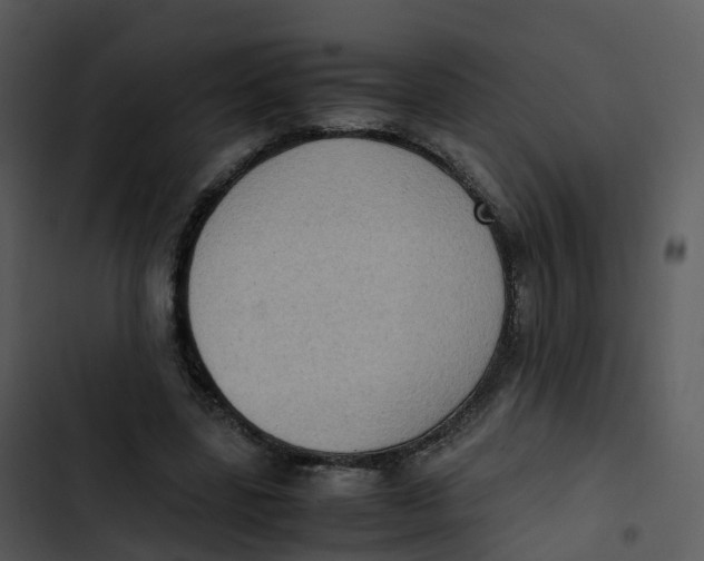 X0000102860539200809081308