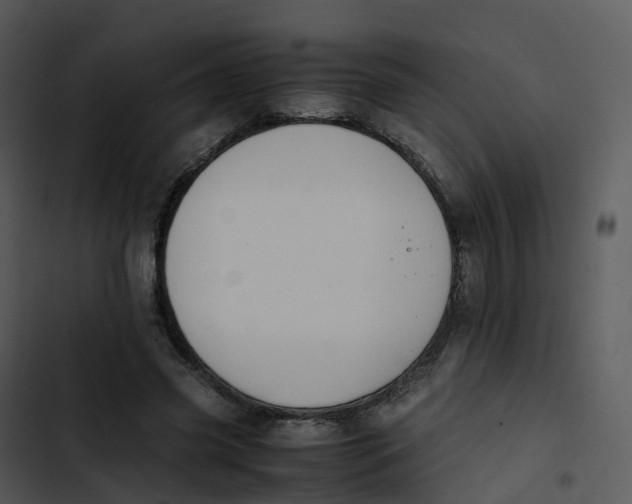 X0000102860541200809081308