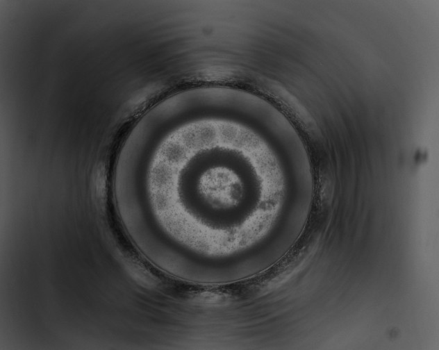 X0000102860542200809081308