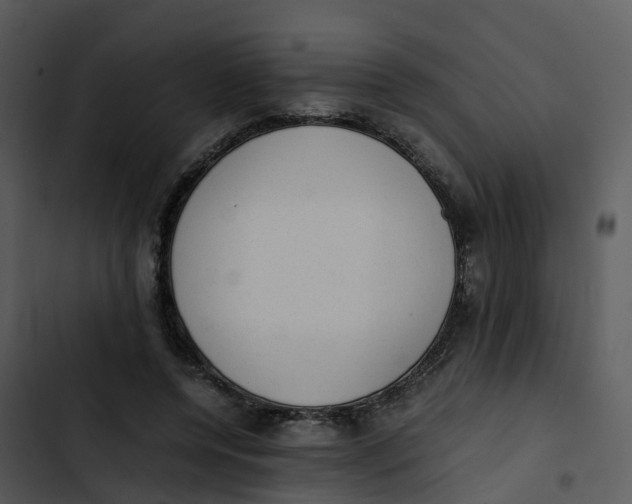 X0000102860544200809081308