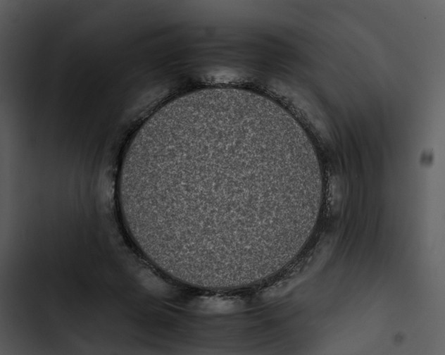 X0000102860545200809081308