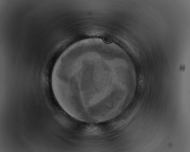 X0000102860547200809081308