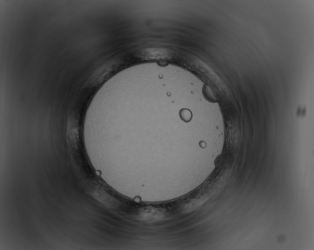 X0000102860549200809081308