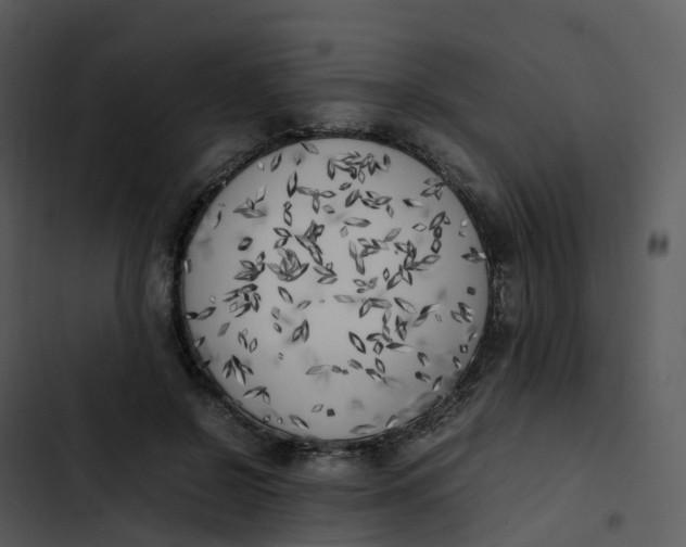 X0000102860550200809081308