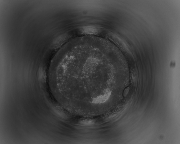 X0000102860551200809081308