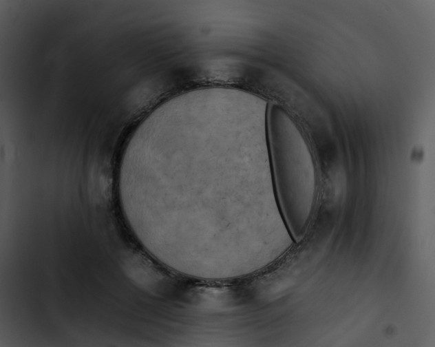 X0000102860552200809081308