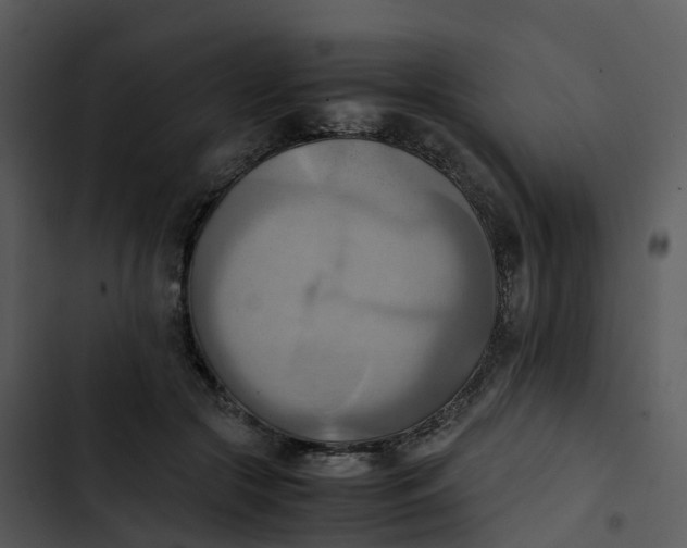 X0000102860553200809081308