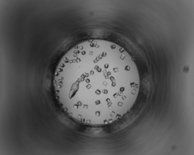 X0000102860554200809081309