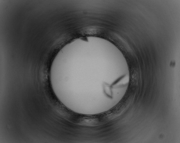 X0000102860555200809081309