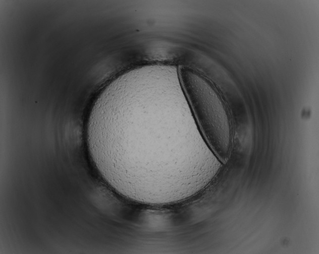 X0000102860556200809081309