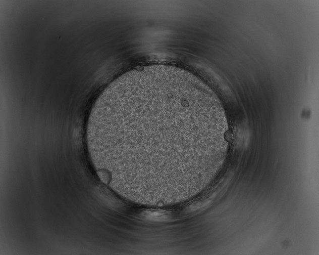 X0000102860557200809081309