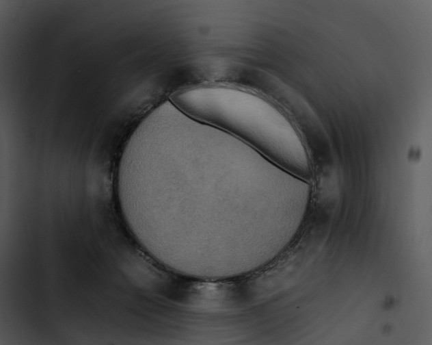 X0000102860558200809081309