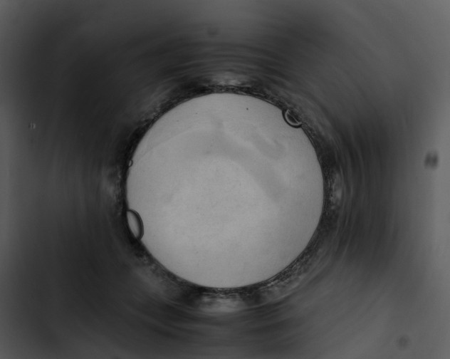 X0000102860559200809081309