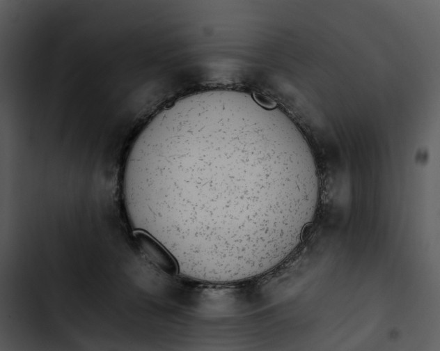 X0000102860560200809081309