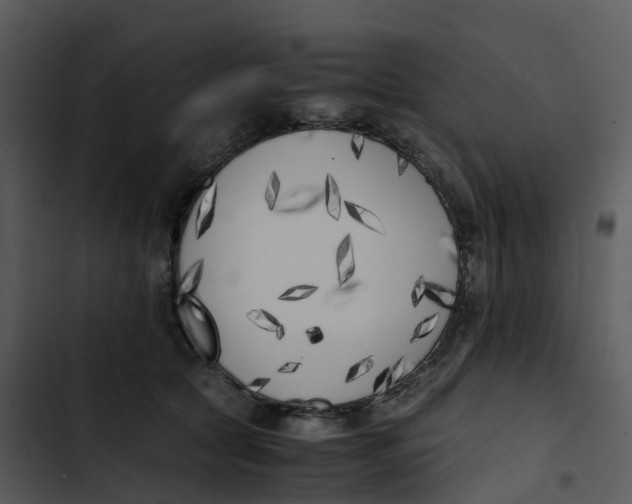 X0000102860561200809081309