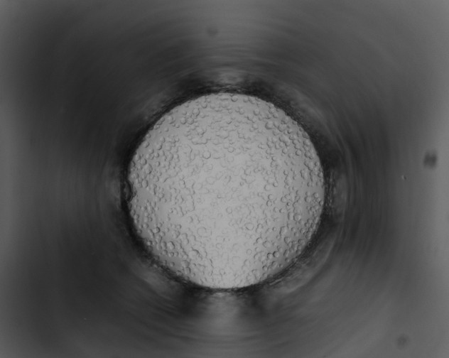 X0000102860562200809081309