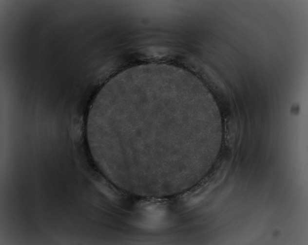 X0000102860563200809081309