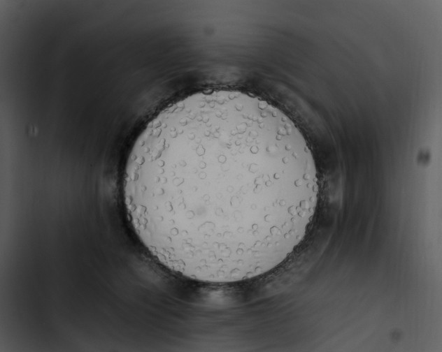 X0000102860564200809081309