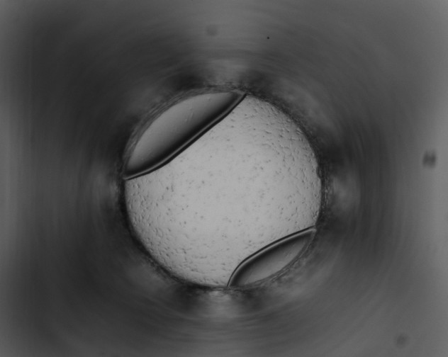 X0000102860566200809081309