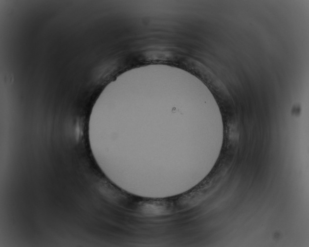 X0000102860567200809081309