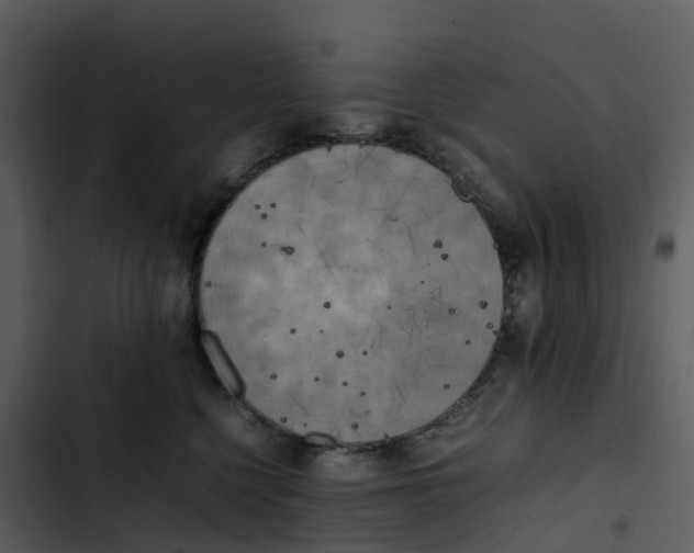 X0000102860568200809081309