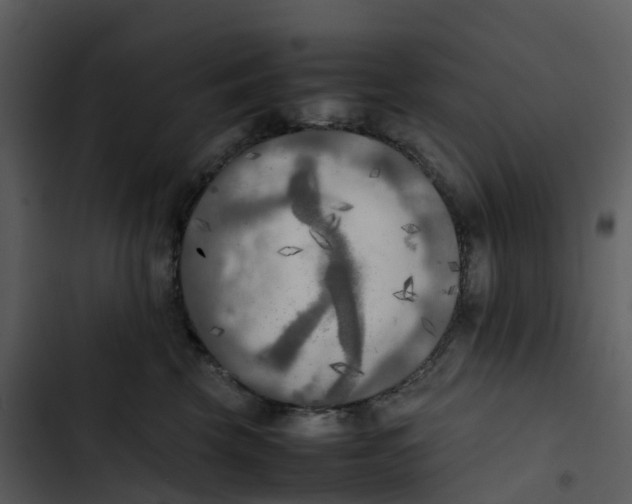 X0000102860569200809081309