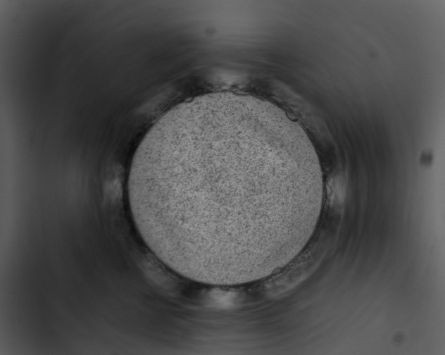 X0000102860570200809081309