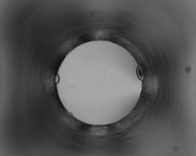 X0000102860571200809081309