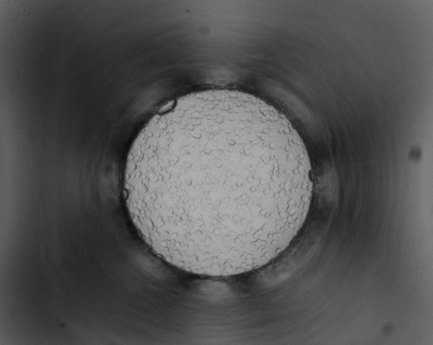 X0000102860572200809081309