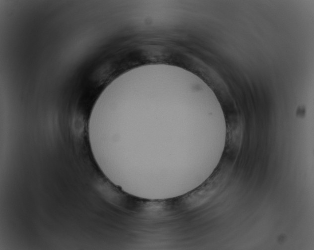 X0000102860574200809081309