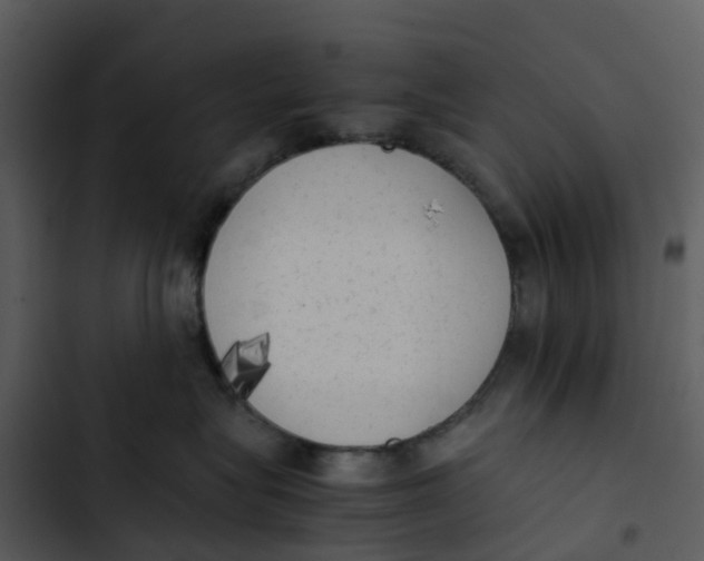 X0000102860575200809081309