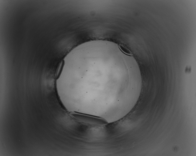 X0000102860576200809081309