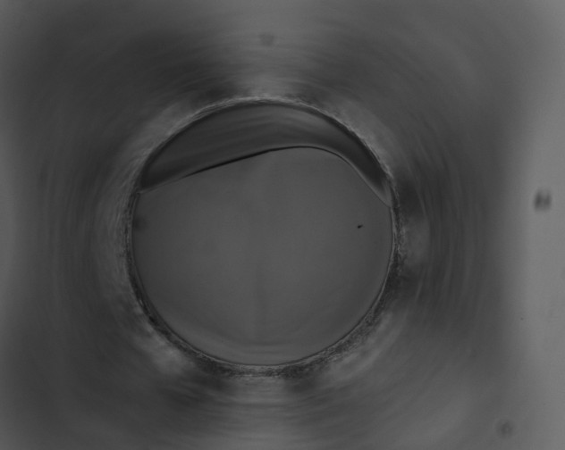 X0000102860577200809081308