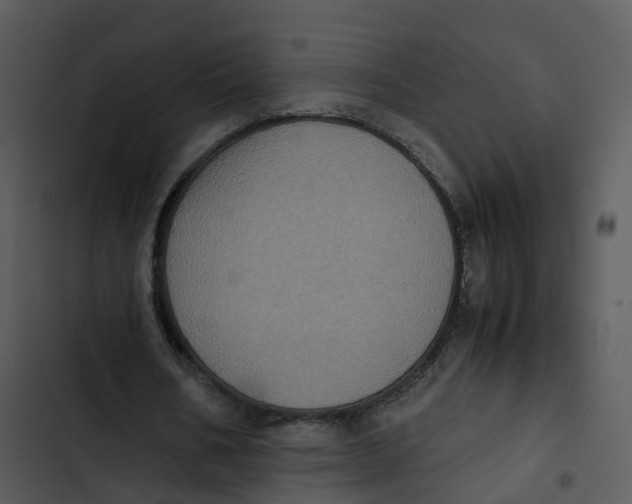 X0000102860578200809081308