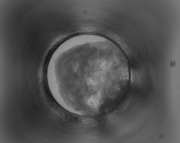 X0000102860579200809081308