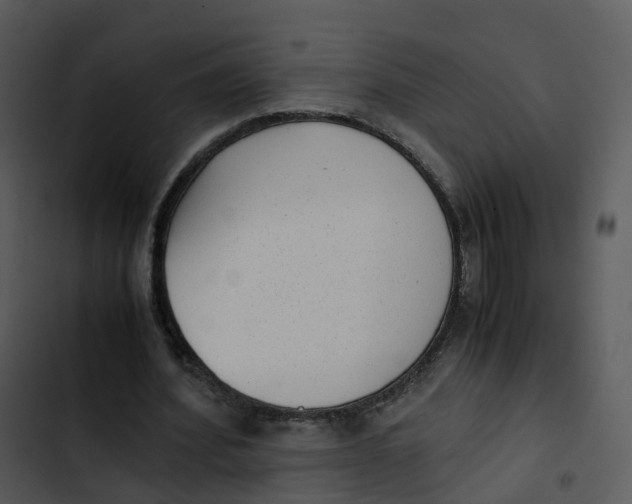 X0000102860580200809081308